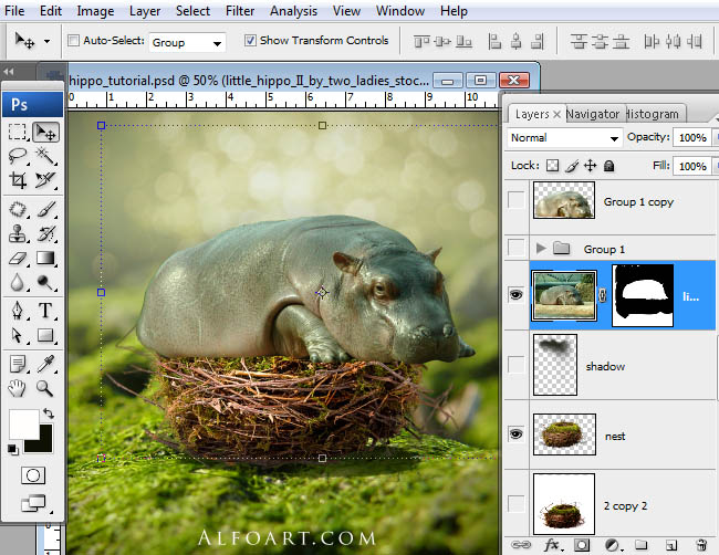 hippo, photoshop, nest, egg, shell, flying hippo, cute, baby, wings, hippopotamus, feathers